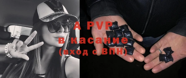 гидра Ладушкин