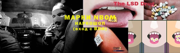гидра Ладушкин