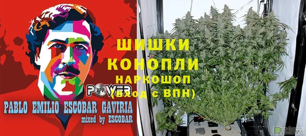 MESCALINE Лабытнанги