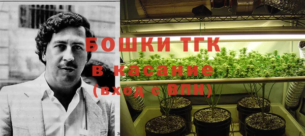 гидра Ладушкин
