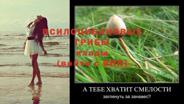 гидра Ладушкин