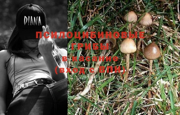 MESCALINE Лабытнанги