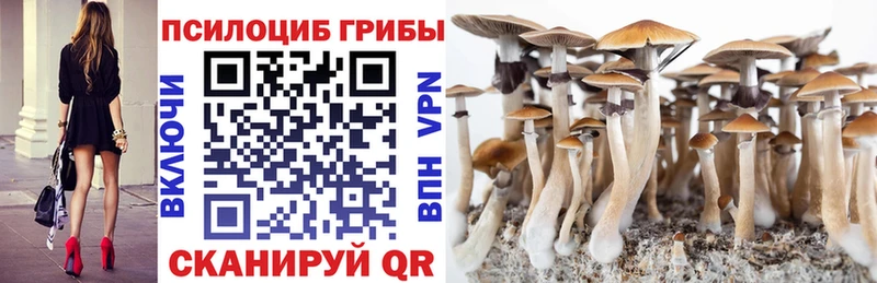 Купить  Дюртюли  Галлюциногенные грибы Cubensis 